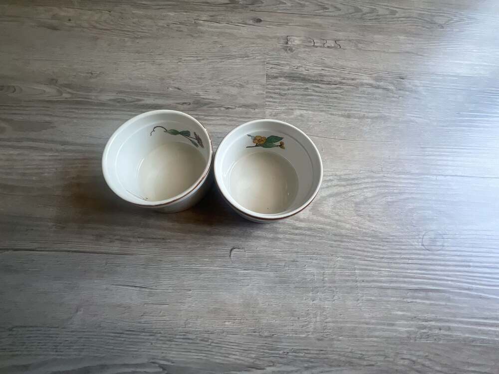 Woodhill Floral Botanical Ceramic Ramekins Set of 2 Oven Safe Bakeware